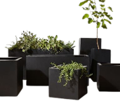 RECTANGULAR PLANTERS